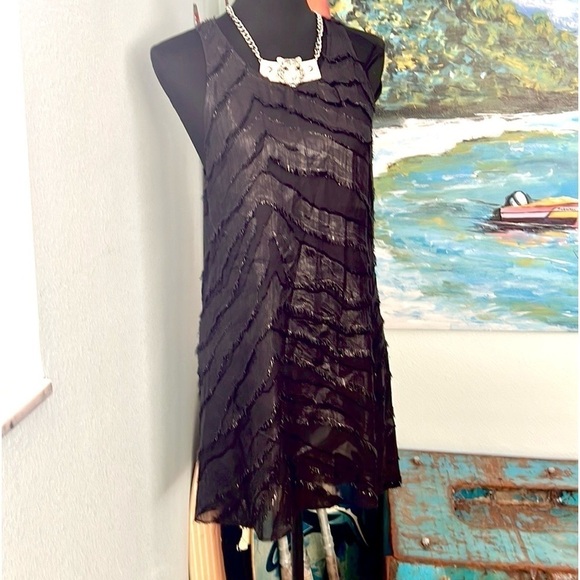 IRO,Orelie.Bergdorf Goodman,Shimmer, Fringed,Chiffon Dress,Excellent Condition,4 - Picture 8 of 13